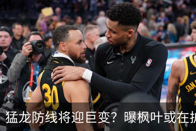 猛龙防线将迎巨变？曝枫叶或在扩军选秀中放弃摩根·里利